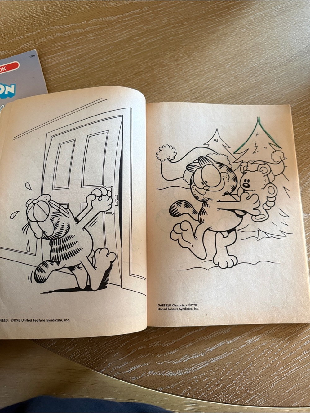 Vintage Tiny Toons and Garfield Coloring Books USED - Picture 16 of 16